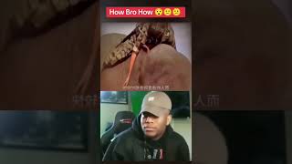 How Bro How Reaction Video reaction shortvideo [upl. by Kingsley]