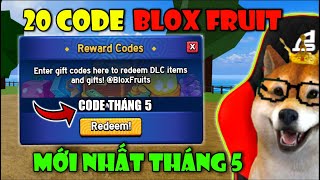 Tổng Hợp 20 CODE X2 EXP Và Reset Chỉ Số STATS Mới Nhất Tháng 5 Trong Blox Fruit  Roblox [upl. by Bret]