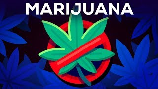 3 Arguments Why Marijuana Should Stay Illegal Reviewed [upl. by Eisiam]