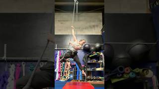 Trapeze adventure trapeze circus aerialsilks aerialhammock circus [upl. by Glenn]