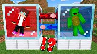 Mikey amp JJ change their brains and create Mikey clone in Minecraft animations [upl. by Yblehs]