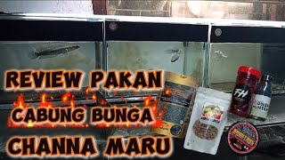 REVIEW MACAMquot PAKAN CABUNG BUNGA  CHANNA MARU By Cheppytam [upl. by Halian797]