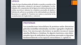 Acumulaciones intracelularesEsteatosisCalcificacionEnvejecimientoCAPITULO 1 ROBBINS PARTE 4 [upl. by Hanover371]