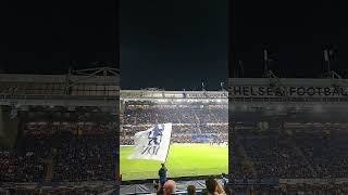 Chelsea FC fans singing quotLiquidatorquot at Stamford Bridge vs Gent UEFA Conference League [upl. by Anitsyrc427]