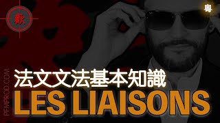 廣東話學法文 LES LIAISONS 連音  法文文法基本知識溫習  PFMPRODCOM [upl. by Nagem240]