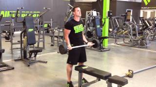 Barbell Curls 28 Method [upl. by Giffy179]