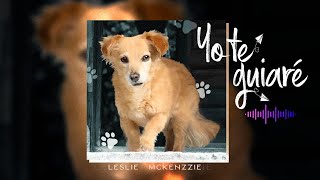 Yo te guiaré 🐕  Leslie Mckenzzie 💕 [upl. by Raynor237]