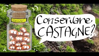 come conservare le castagne [upl. by Ailama]