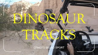 Riding the CFMOTO 950 HO Sport to Hunt for Dinosaur Tracks [upl. by Naoh]