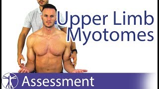 Myotomes Upper Limb  Peripheral Neurological Examination [upl. by Erreip]