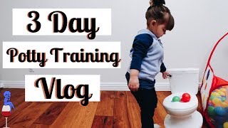 Potty Training Vlog  3 Day Potty Training Method [upl. by Friedly]