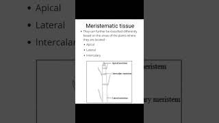 Tissue class9 science ncertplant cell amp animal cellytshortslifebiologyexamlikemy video [upl. by Kurland]