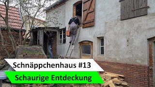 Baustelle sauber machen  Giebelwand dämmen 🏡 Haus sanieren Bauvlog 13 [upl. by Gnilrets]