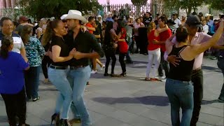 Como sera la mujer Rosa valencia Palillos chinos [upl. by Feerahs]