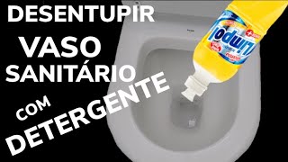 Como desentupir vaso sanitário [upl. by Iot]