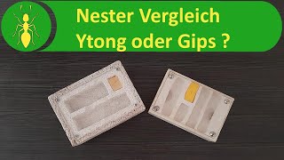 Ameisennest im Vergleich YtongNest oder GipsNest [upl. by Htebiram]