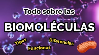 TODO sobre las BIOMOLÉCULAS 🧬📚 Tipos funciones ejemplos [upl. by Notlad631]