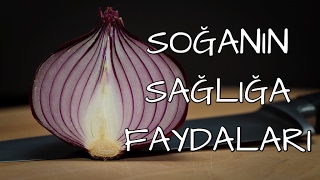 SOĞANIN SAĞLIĞA FAYDALARI [upl. by Gipsy]