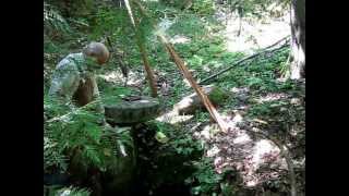 Bentonite in the Springbox at Camp Serendipity  July 16 2013 [upl. by Klusek]