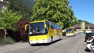 Post Coaches Neoplan  Mercedes Benz [upl. by Niletak]