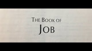 The Book Of Job  Chapters 22  42 KJV Audio Book [upl. by Eidurt698]