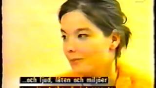 Bjork  Interview 1993 [upl. by Flatto]