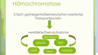 Hämochromatose  Erkrankungen der Leber [upl. by Esilenna]