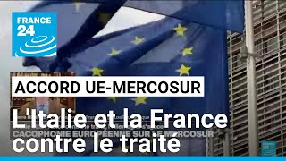 Projet daccord UEMercosur  lItalie et la France contre le traité lAllemagne sagace [upl. by Lourdes]