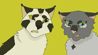 Dovewing and Bumblestripe…😬 [upl. by Alemat213]