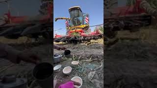 Silage making for Parwaz Electronics Gojra [upl. by Myles]