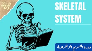 General Anatomy Skeletal System [upl. by Godden535]