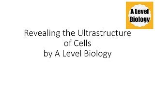 Revealing the Ultrastructure of Cells  A Level Biology [upl. by Olympia]