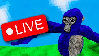 🔴Gorilla Tag Live stream only up with viewers🔴 [upl. by Akirrehs]