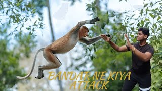 JUNGLE MEIN HUA BANDAR KA ATTACK [upl. by Arat258]