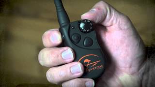 Changing the ID on Your SportDOG ECollar System [upl. by Horton]