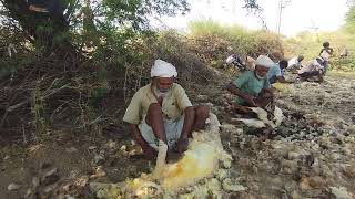 Sheep wool cutting Kukadsar village Kutch [upl. by Lucinda]