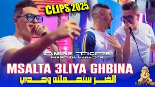 Cheb Amine Tigre 2024 Feat Hamouda Maradon Msalta 3liya Ghbinaالضر ستحملته وحدي© Clips Officiel [upl. by Westley]