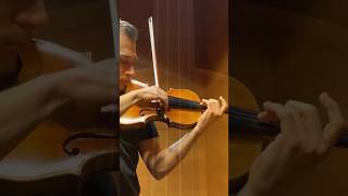 D TONARELLI 2018 Milstein Test shorts violin test [upl. by Cychosz]