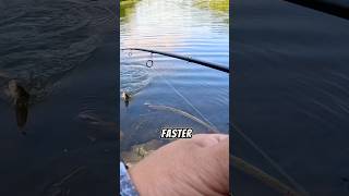 3 Quick Tips for Catching More Fish in 30 Seconds fishing fishingbait fishingtips [upl. by Haibot]