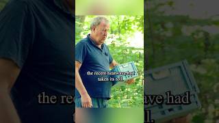 Clarksons farmHarvest wasabishorts series show tvshow clarkson [upl. by Lenoil247]