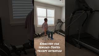 Exercises for SeniorsSeated Triceps Extension [upl. by Kristi]