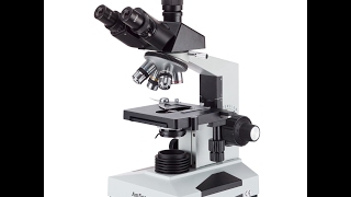 AmScope T490B Compound Trinocular Microscope 40X2000X Magnification [upl. by Ikkir558]