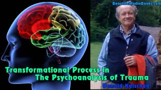 Transformational Process in the Psychoanalysis of Trauma by Donald Kalsched  part 2 [upl. by Epotimet727]