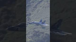 Low Flying Canadian F18 Hornet in the Mach Loop shorts Machloop fighterjet f18 lowflying [upl. by Theadora]