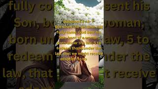 Galatians 447 nature bibleverse love gospel God redeem sonship father jesus flowers [upl. by Lav]