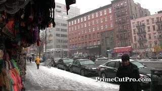 New York City  Chinatown in the Snow [upl. by Hayward211]