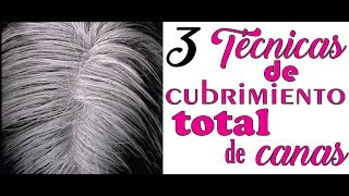 COMO CUBRIR TOTALMENTE LAS CANAS CON ESTAS 3 TÉCNICAS FÁCIL Y RÁPIDOHOW TO COVER TOTALLY THE grays [upl. by Eastman577]