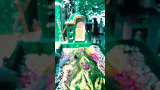 Sabir piya kalyar Sharif dargah youtubeshorts vairalshorts sabirpiya 💞💚🤗🤲💪💪💚💞💞💚💞💞💚💚 [upl. by Nnylsia528]