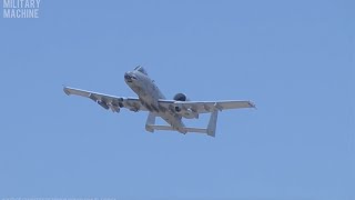 A10 Thunderbolt Warthog in Action  BRRRRRRRRRT [upl. by Delphina]