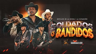 Novillos De La Sierra La Expansión  Soldados o Bandidos Video Oficial [upl. by Auohp]